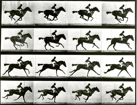 eadweard-muybridge.jpg