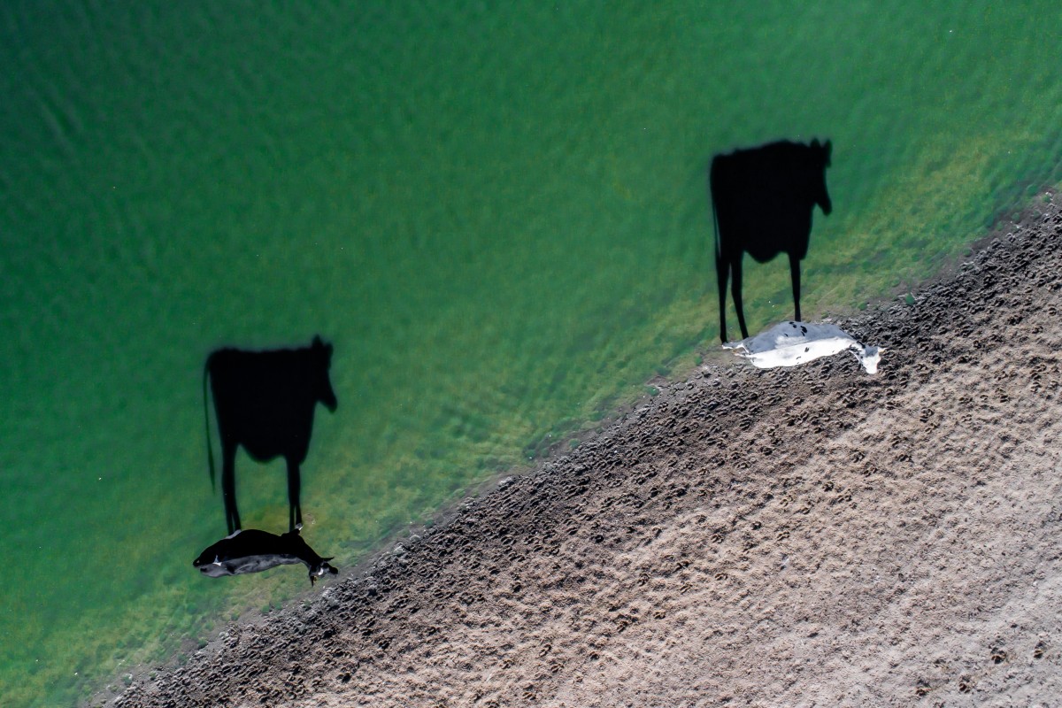 en yaratıcı drone fotografı