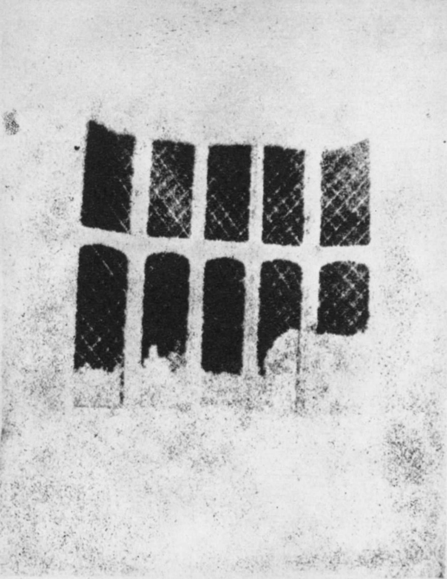 fox talbot fotograf