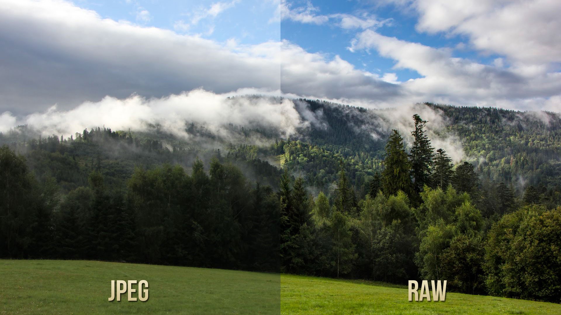 ماهي ملفات RAW في التصوير الفوتوغرافي وما الفرق بينها وبين ملفات JPEG